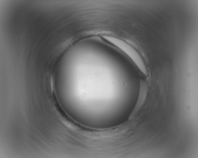 X0000054440013200508121856