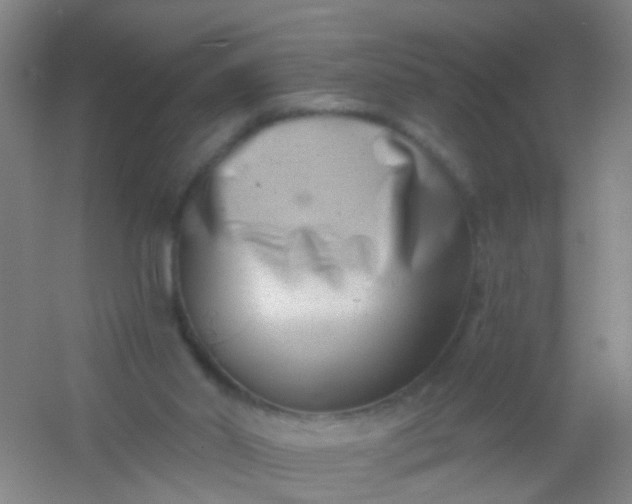 X0000054440014200508121856