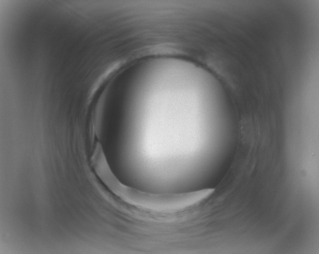 X0000054440015200508121856