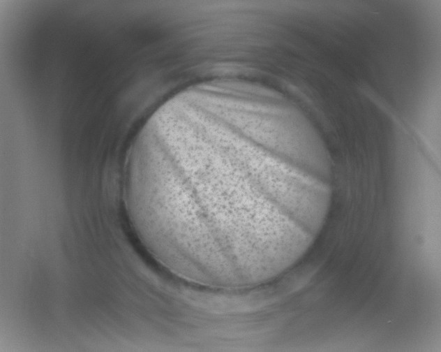 X0000054440016200508121856