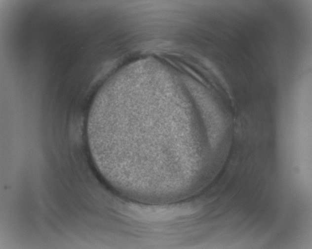 X0000054440018200508121856