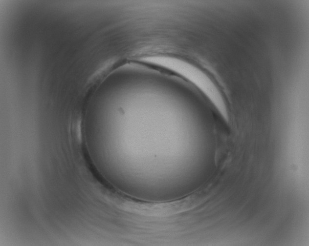 X0000054440019200508121856