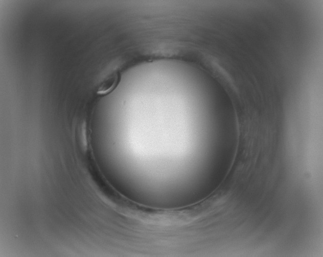 X0000054440020200508121856