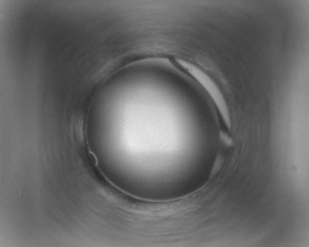 X0000054440021200508121856