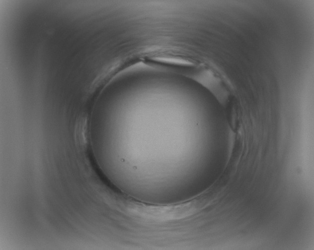 X0000054440023200508121856