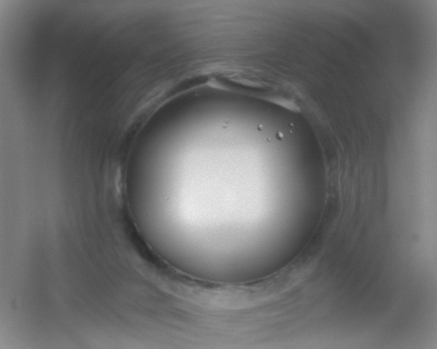 X0000054440024200508121856