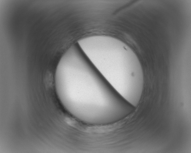 X0000054440025200508121856