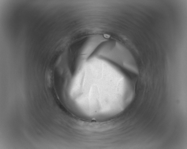 X0000054440026200508121856