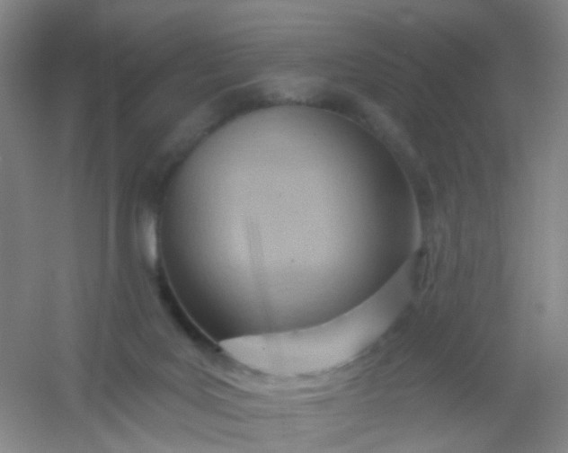 X0000054440027200508121856