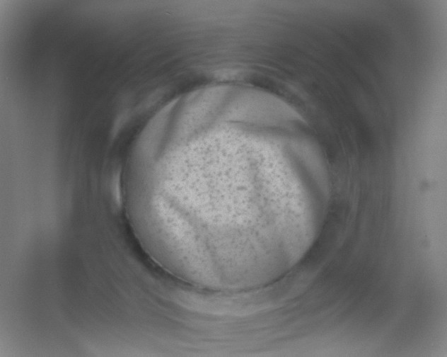 X0000054440028200508121856