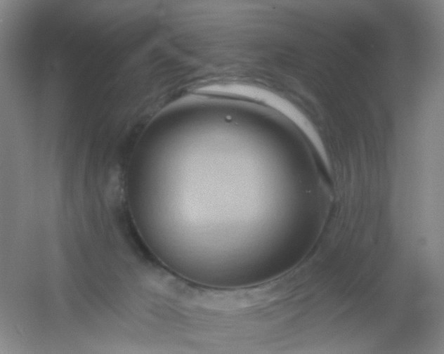 X0000054440029200508121856