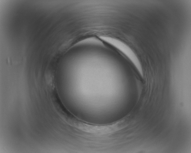 X0000054440031200508121856