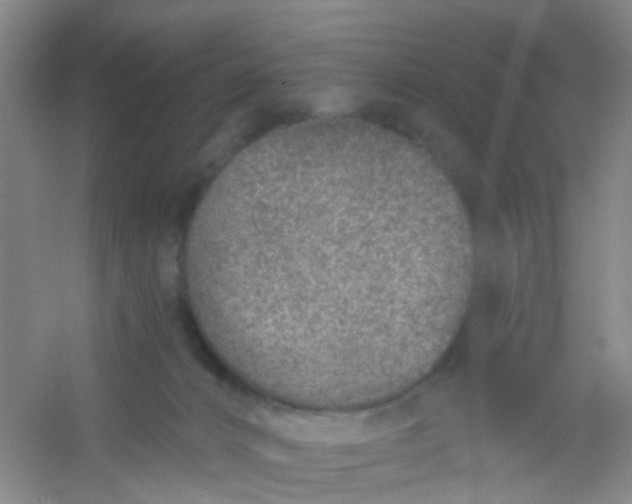 X0000054440032200508121856