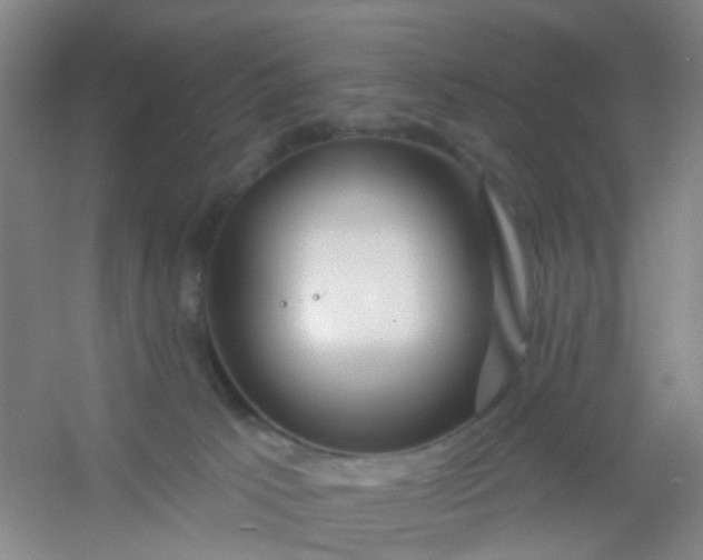 X0000054440033200508121856