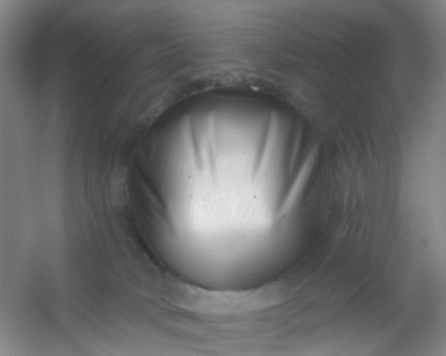 X0000054440034200508121856