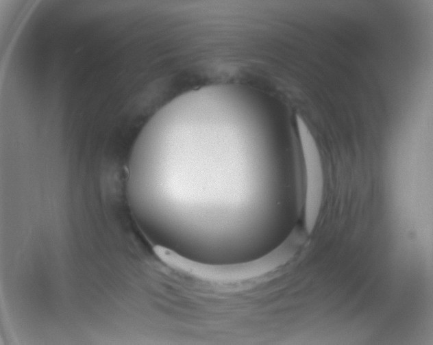 X0000054440037200508121856