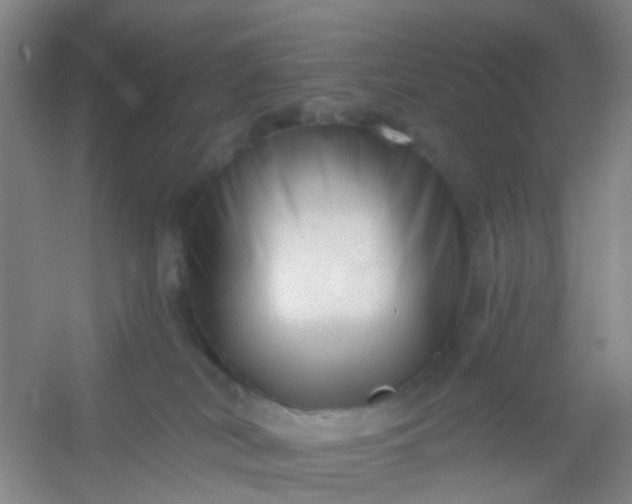 X0000054440038200508121856