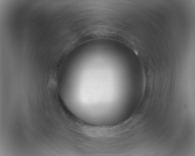 X0000054440040200508121856