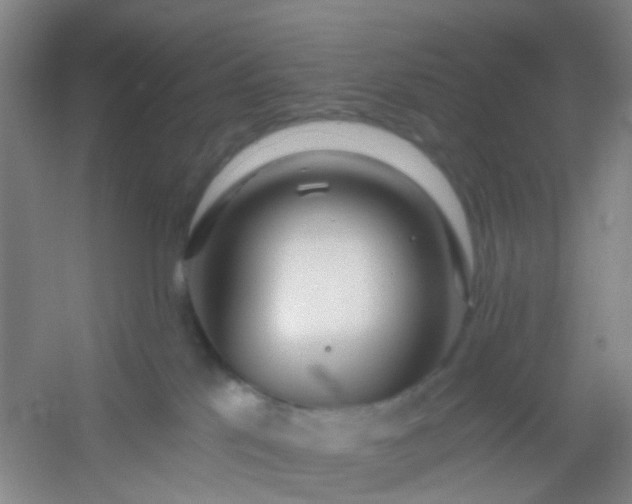 X0000054440041200508121856