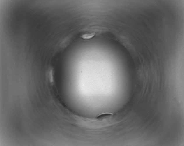 X0000054440042200508121856