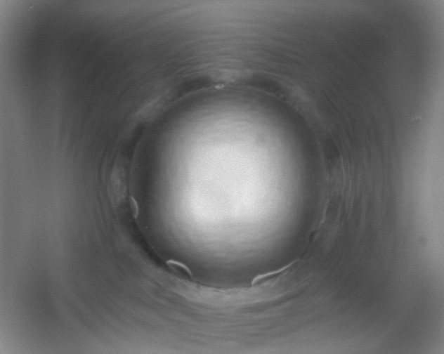 X0000054440043200508121856