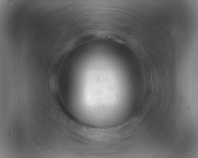 X0000054440044200508121856