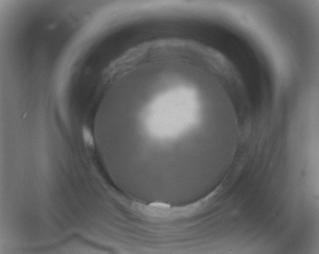 X0000054440047200508121856