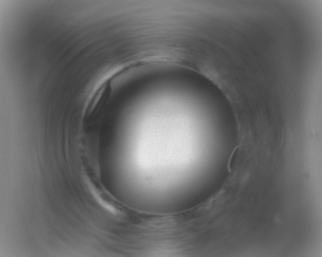 X0000054440050200508121855