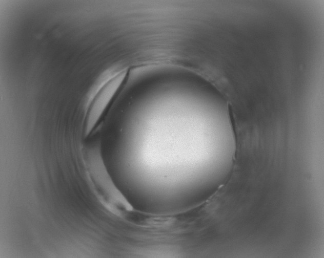 X0000054440051200508121855