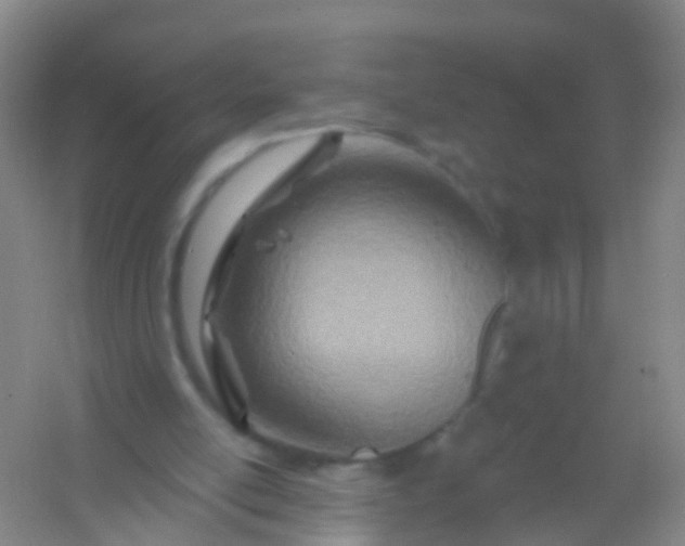 X0000054440054200508121855