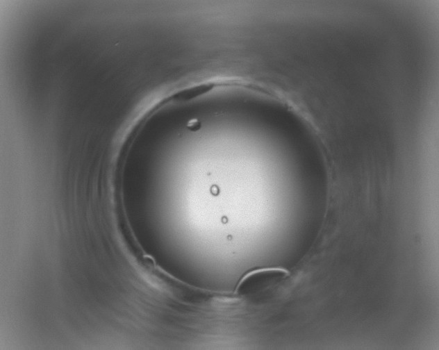 X0000054440055200508121855