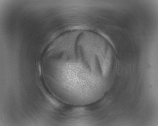 X0000054440061200508121855