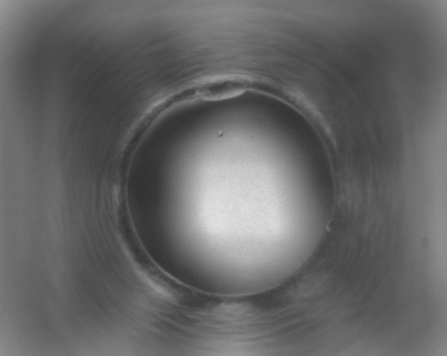 X0000054440063200508121855