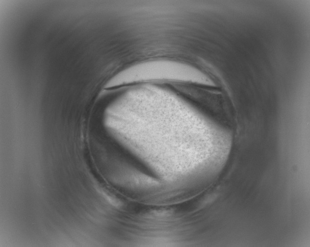 X0000054440065200508121855