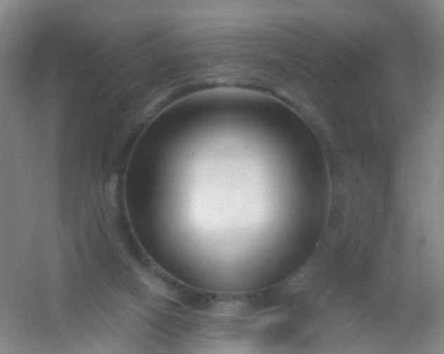 X0000054440066200508121855