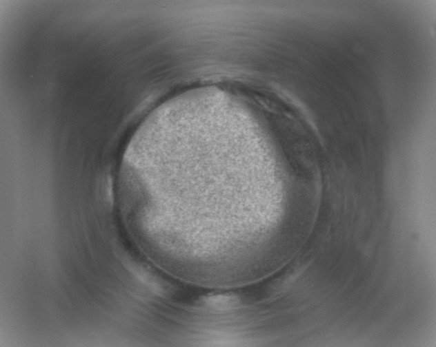 X0000054440067200508121855