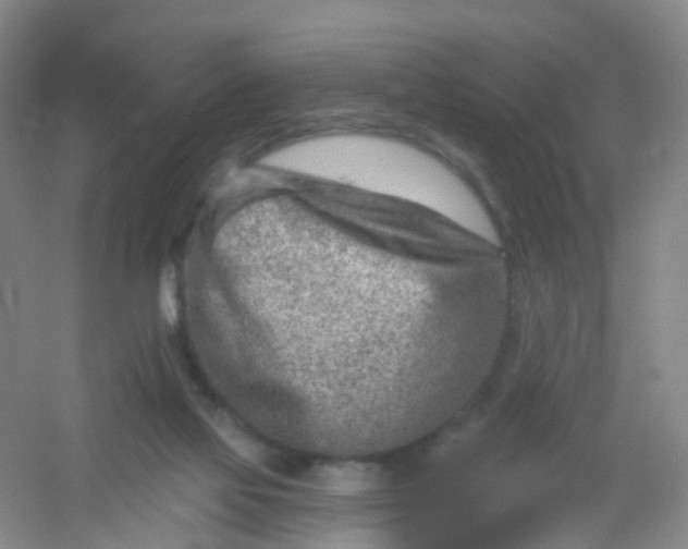 X0000054440069200508121855