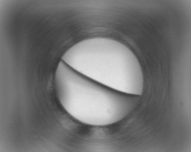 X0000054440073200508121855