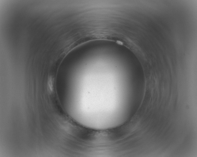 X0000054440075200508121855