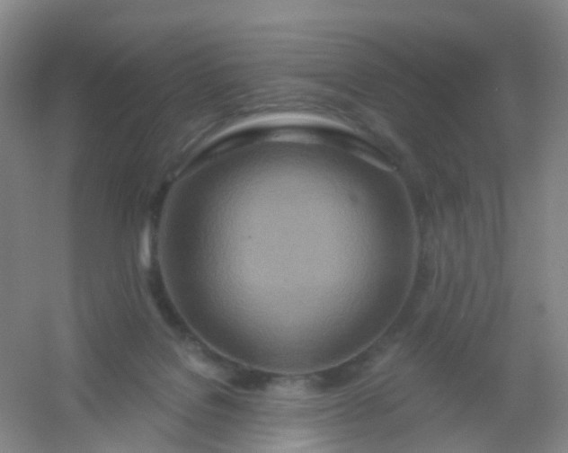 X0000054440076200508121856