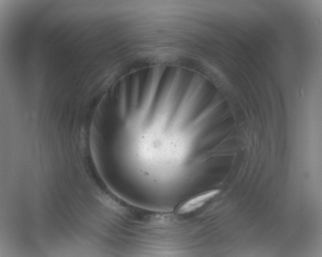 X0000054440077200508121856