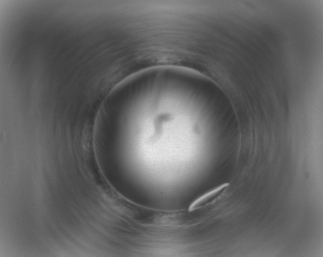 X0000054440078200508121856