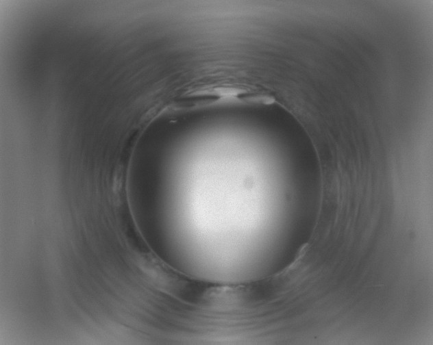 X0000054440082200508121856