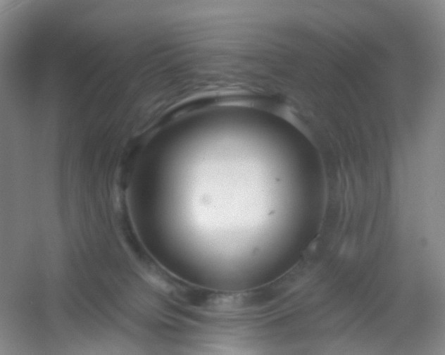 X0000054440084200508121856