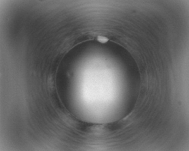 X0000054440086200508121856