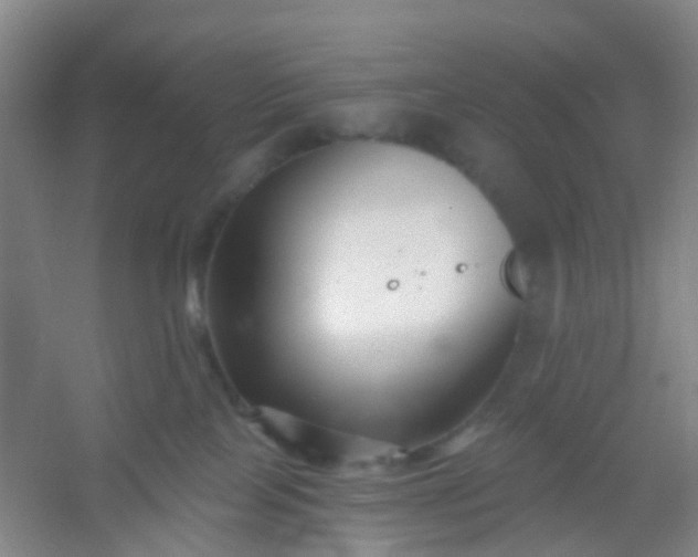 X0000054440089200508121856