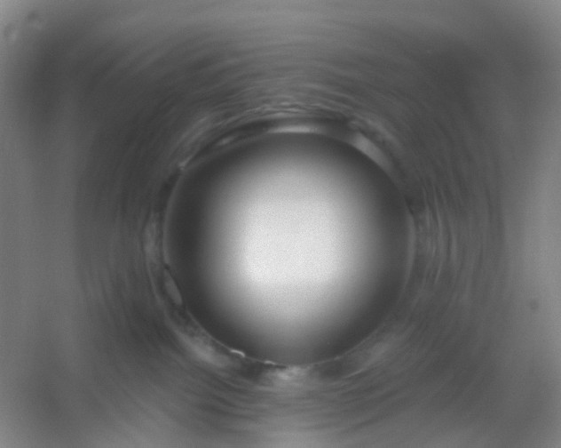 X0000054440092200508121856