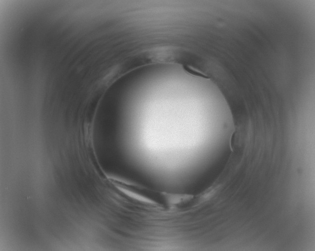 X0000054440093200508121856