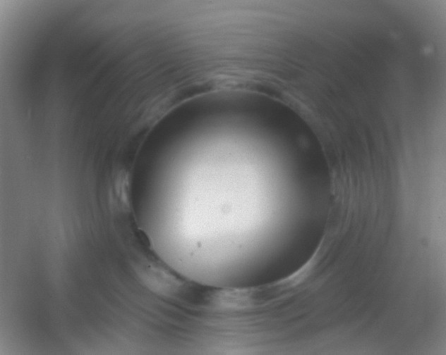 X0000054440094200508121856