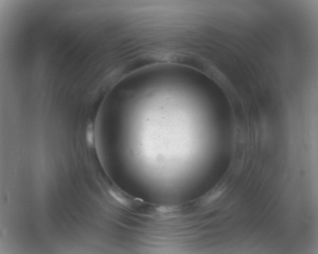 X0000054440095200508121856